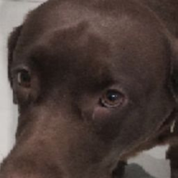 Meet your Posher, Adrian - Picture 1 of 1